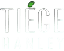 Tiege